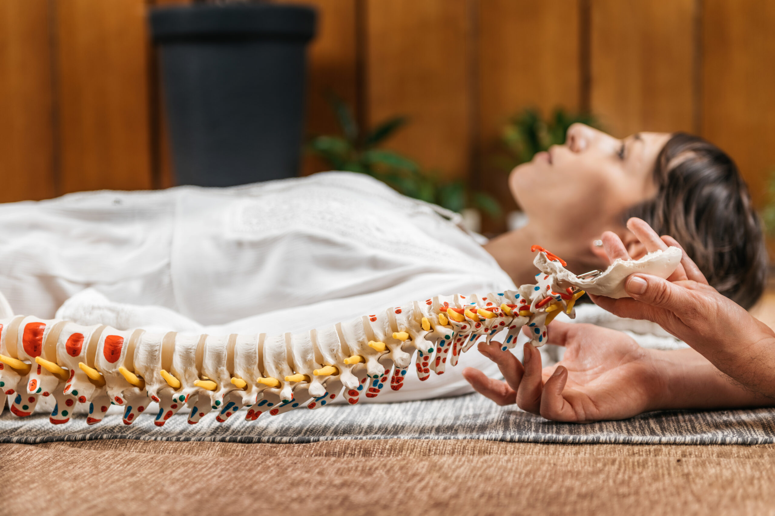 Somatic Biomechanics