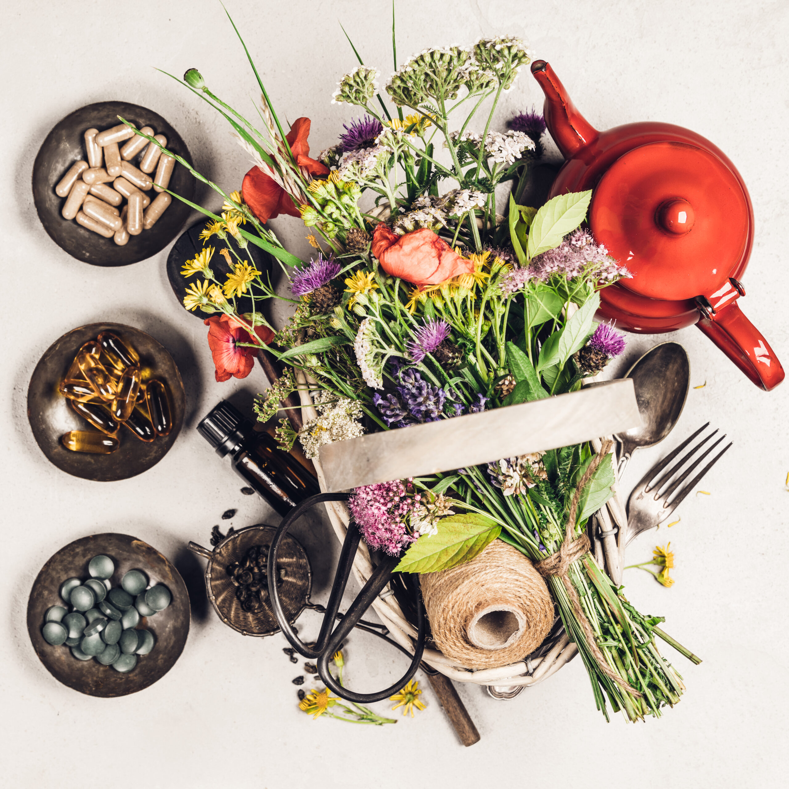 Herbal Support