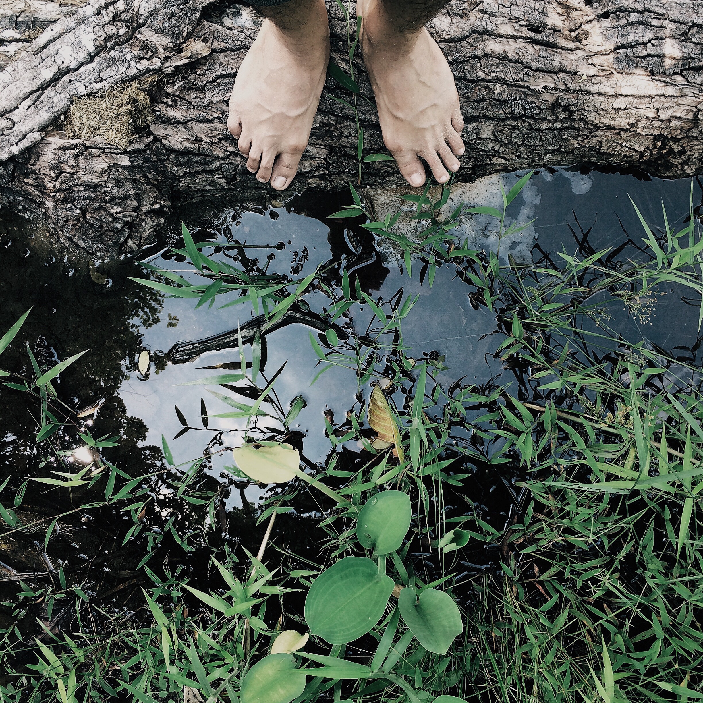 Grounding