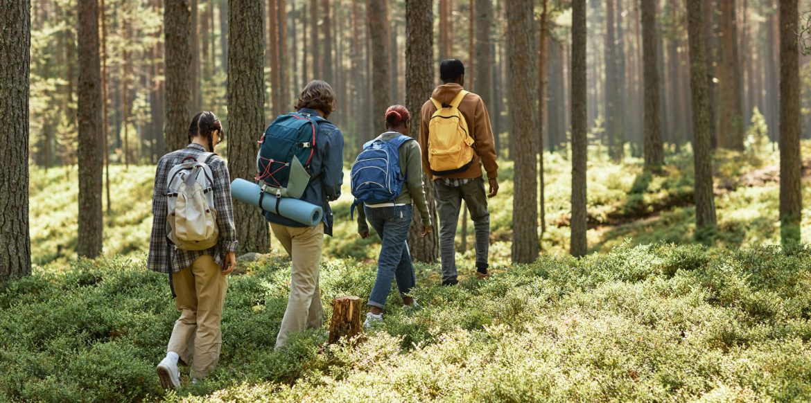 Rear view of group of people with backpacks walking along the path in the forest during their hiking